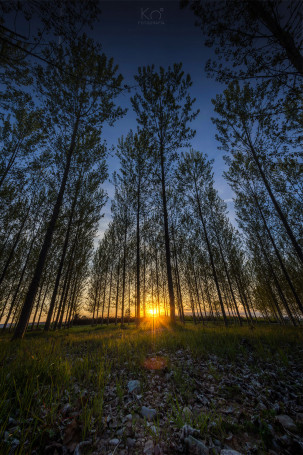Agoncillo (La Rioja)