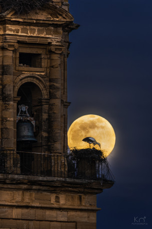 Agoncillo (La Rioja)