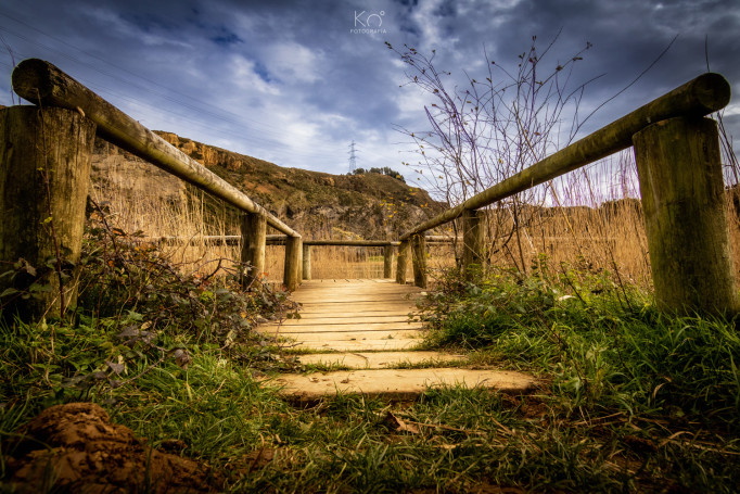 La Arboleda (Bizkaia)