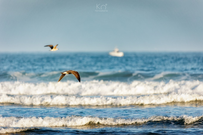 Playa de La Arena, Zierbena (Bizkaia)