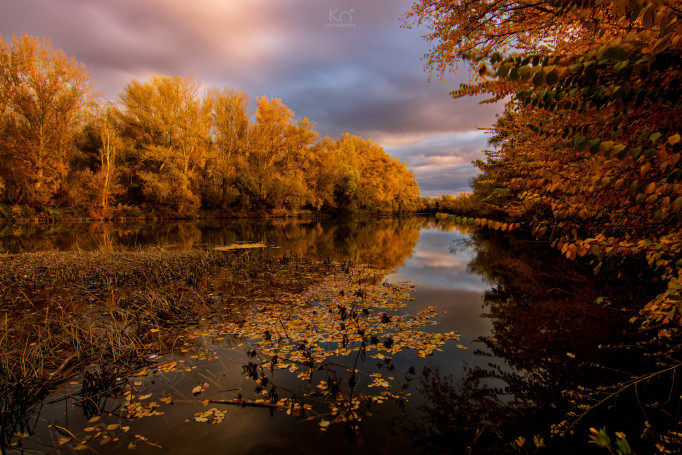 Agoncillo (La Rioja)