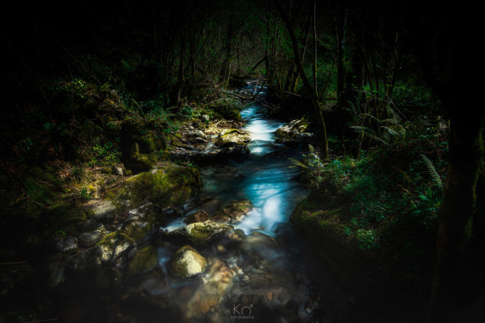 Mogrovejo (Cantabria)