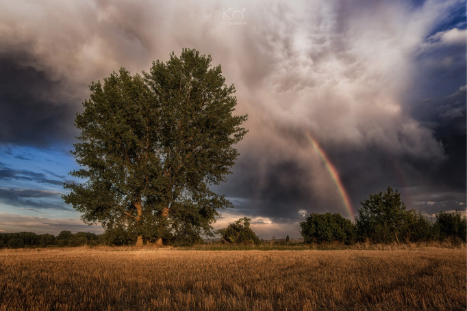 Agoncillo (La Rioja)