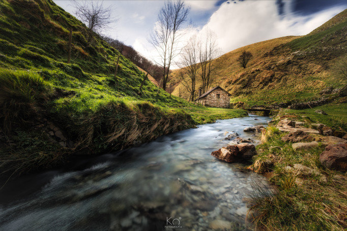 Selva de Irati (Navarra)