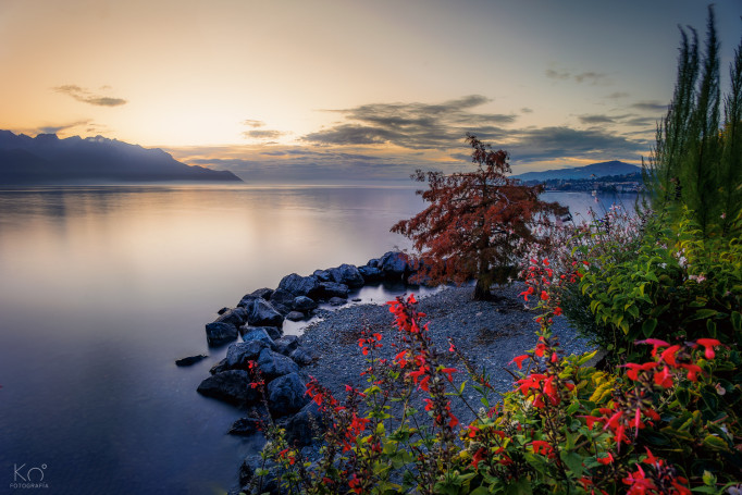 Lago Leman, Montreux (Suiza)